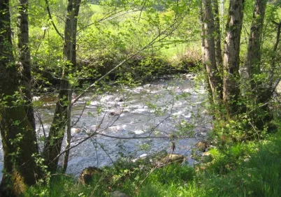 Camping - Saint-Martin-Valmeroux - Auvergne - le Moulin du Teinturier