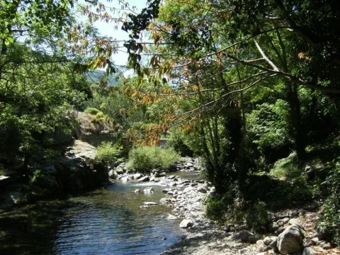 Camping - Valleraugue - Languedoc-Roussillon - Le Mouretou