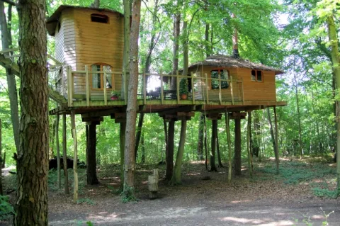 Camping - Pierrefonds - Picardie - Le Nid dans l'Arbre