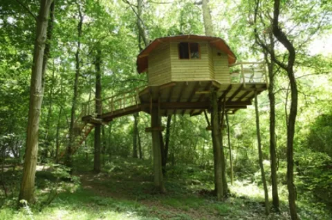 Camping - Pierrefonds - Picardie - Le Nid dans l'Arbre