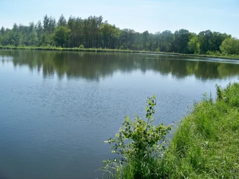 Camping - Fère-en-Tardenois - Picardie - Le Nid dans les Bruyères