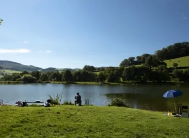 Camping - Matour - Bourgogne - Le Paluet