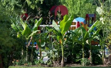 Camping - Saint-Léon-sur-Vézère - Aquitaine - Le Paradis