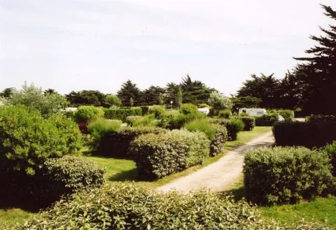 Camping - Le Croisic - Pays de Loire - Le Paradis