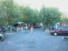 Camping - Marseillan - Languedoc-Roussillon - Le Paradou