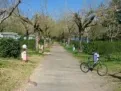 Camping - Lalinde - Aquitaine - Le Parc