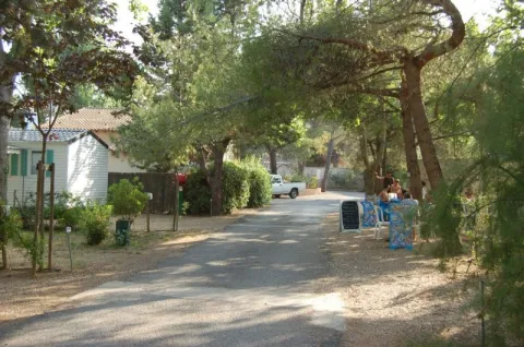 Camping - Lattes - Languedoc-Roussillon - Le Parc