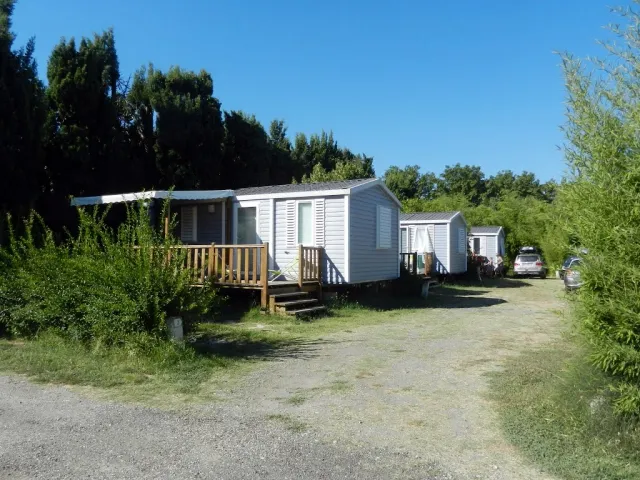 Camping - Saint-Rémy-de-Provence - Provence-Alpes-Côte d'Azur - Le Parc de la Bastide
