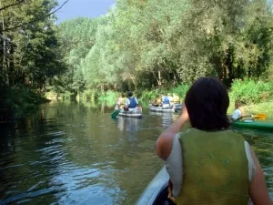 Camping Amiens - 1 - camping