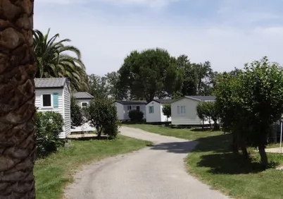 Camping - Argelès-sur-Mer - Languedoc-Roussillon - Le Pearl Village Club