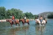 Camping - Salavas - Rhône-Alpes - Le Pequelet