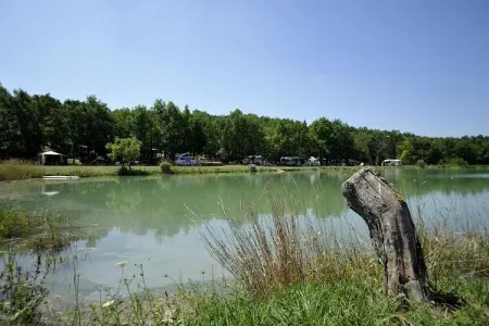 Camping - Valensole - Provence-Alpes-Côte d'Azur - Le Petit Arlane - Domaine Naturiste
