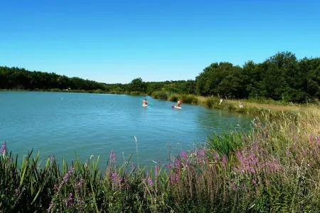 Camping - Valensole - Provence-Alpes-Côte d'Azur - Le Petit Arlane - Domaine Naturiste