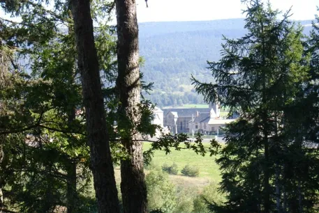 Camping - Ruynes en Margeride - Auvergne - Le Petit Bois