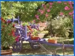 Camping - Miers - Midi-Pyrénées - le Pigeonnier