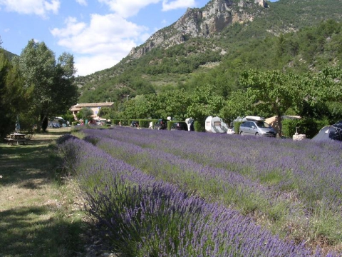 Camping Saint-Ferréol-Trente-Pas - 2 - campings