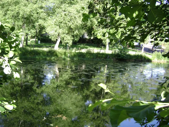 Camping - Saint-Sauves-d'Auvergne - Auvergne - Le Pont de la Dordogne