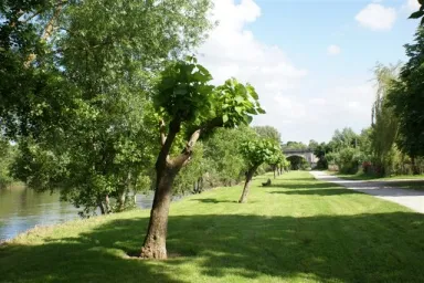 Camping - Saint-Astier - Aquitaine - Le Pontet