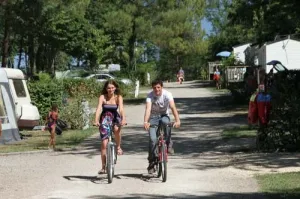 Camping - Petit-Palais-et-Cornemps - Aquitaine - Le Pressoir