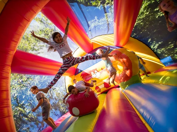Camping - Saint-Malo - Bretagne - Le P'tit Bois