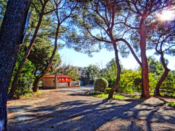 Camping - Le Cannet - Provence-Alpes-Côte d'Azur - Le Ranch