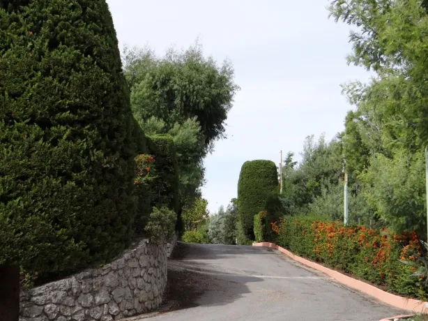Camping - Le Cannet - Provence-Alpes-Côte d'Azur - Le Ranch