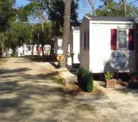 Camping - Sillans-la Cascade - Provence-Alpes-Côte d'Azur - Le Relais de la Bresque