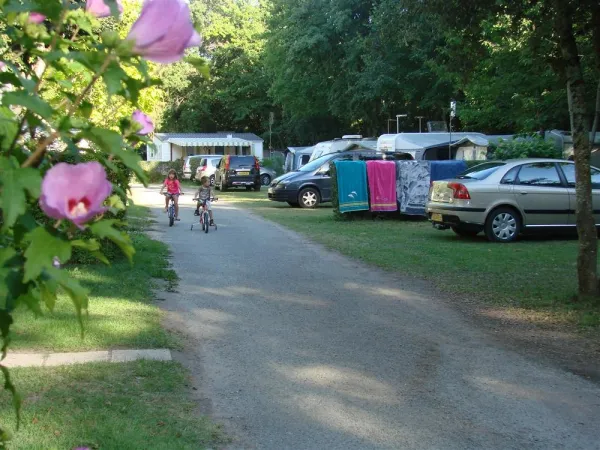 Camping - Breuillet - Poitou-Charentes - Le Relax