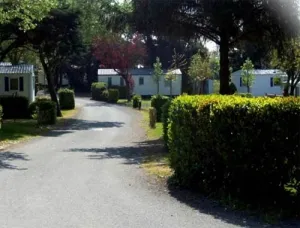 Camping - Vairé - Pays de Loire - Le Roc