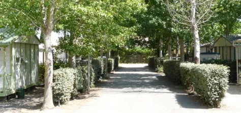 Camping - Agde - Languedoc-Roussillon - Le Rochelongue