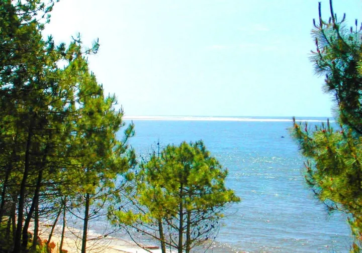 Camping - Lanton - Aquitaine - Le Roumingue