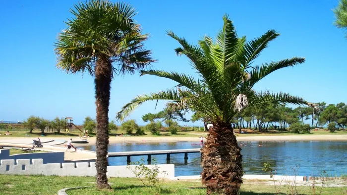 Camping - Lanton - Aquitaine - Le Roumingue