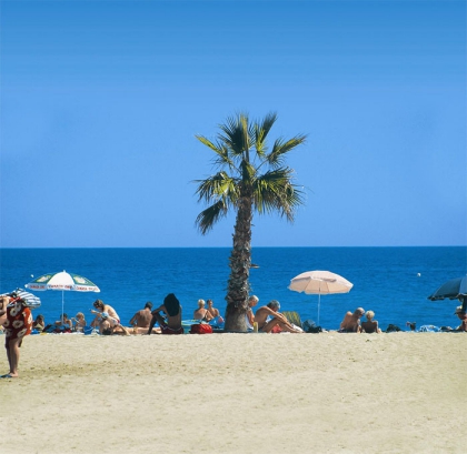 Camping - Saint-Cyprien - Languedoc-Roussillon - Le Roussillon - Image #9