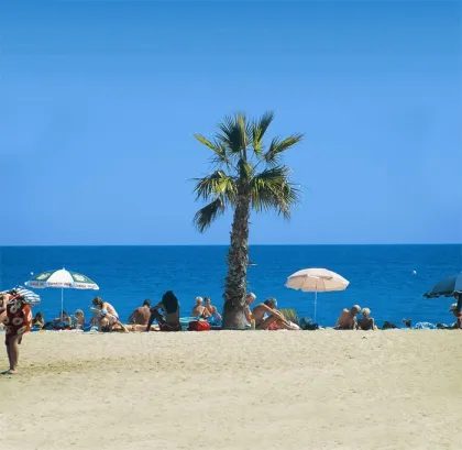 Camping Le Roussillon