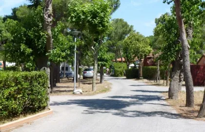 Camping - Argelès-sur-Mer - Languedoc-Roussillon - Le Roussillonnais
