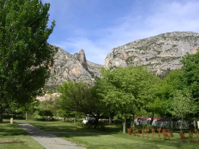 Camping - Moustiers-Sainte-Marie - Provence-Alpes-Côte d'Azur - Le Saint Jean