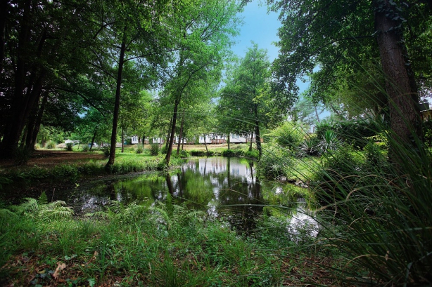 Camping - Lit-et-Mixe - Aquitaine - Le Soleil des Landes - Image #8