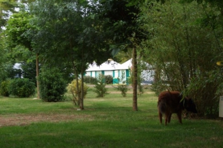 Le Sous Bois - Poitou-Charentes - Saint-Pierre-d'Oléron - 389€/sem