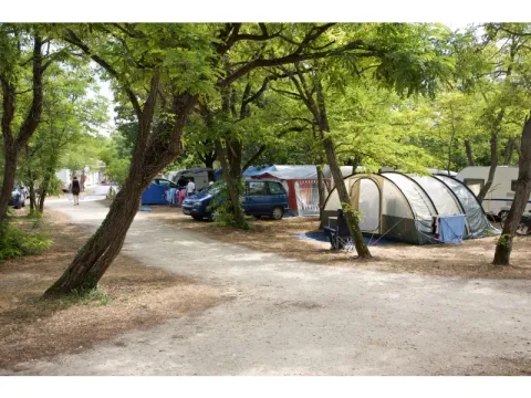 Camping - Saint-Georges-d'Oléron - Poitou-Charentes - Le Suroit