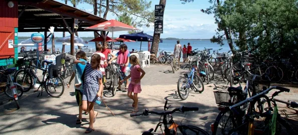Camping - Lacanau - Aquitaine - Le Tedey