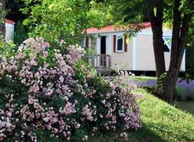 Camping - Salignac Eyvigues - Aquitaine - Le Temps de Vivre