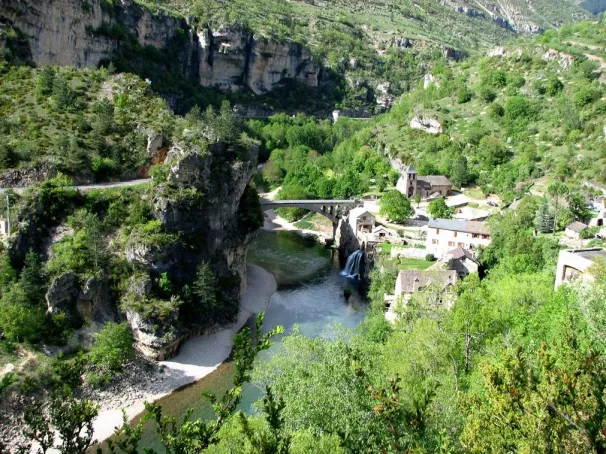 Camping - Les Vignes - Languedoc-Roussillon - Le Terrados