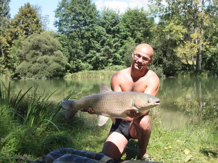 Camping - Thenon - Aquitaine - Le Verdoyant 