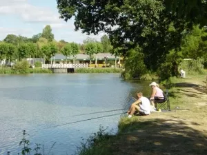 Camping - Dol-de-Bretagne - Bretagne - Le Vieux Chêne