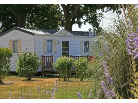 Camping - Coëx - Pays de Loire - Le Village de Florine