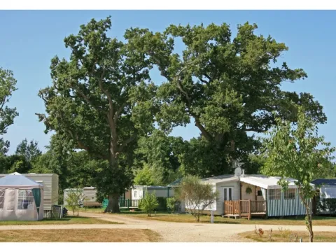 Camping - Coëx - Pays de Loire - Le Village de Florine