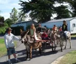 Camping - Les Moutiers en Retz - Pays de Loire - Le Village de la Mer