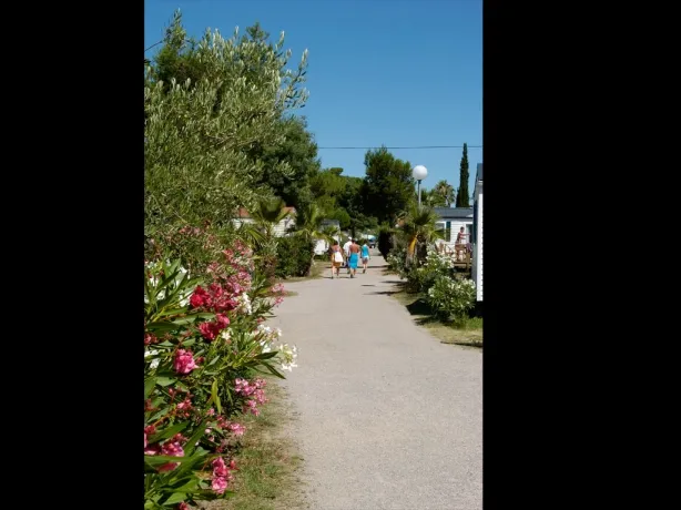 Camping - Argelès-sur-Mer - Languedoc-Roussillon - Le Village Del Mar