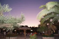 Camping - Roquebrune-sur Argens - Provence-Alpes-Côte d'Azur - Leï Suves