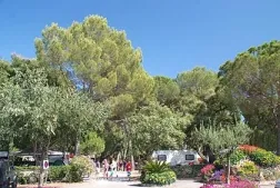 Camping - Roquebrune-sur Argens - Provence-Alpes-Côte d'Azur - Leï Suves